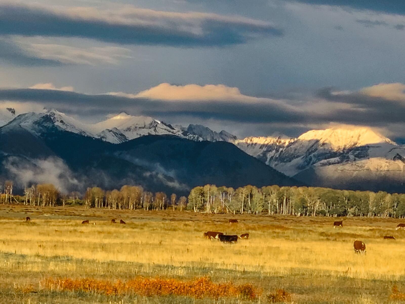 8325 County Rd M44 Placerville, CO 81430 - Photo 31 of 62 a view of a lake with a mountain in the background