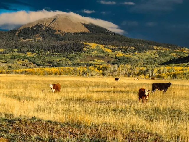 a kitchen with sink cabinets and window