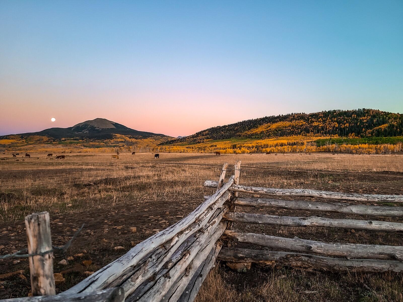 8325 County Rd M44 Placerville, CO 81430 - Photo 36 of 62 telluride-mesa-ranch-colorado-ranch-for-