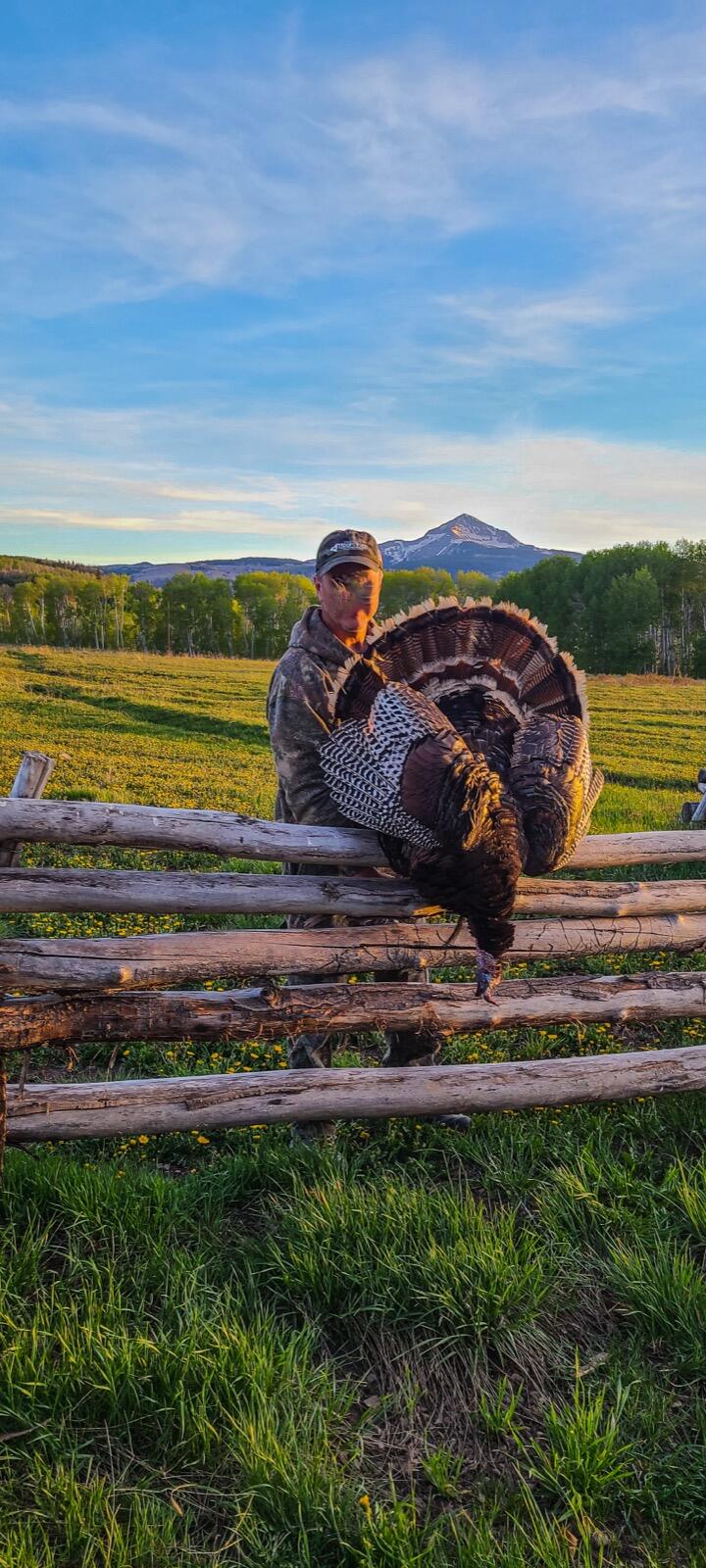8325 County Rd M44 Placerville, CO 81430 - Photo 45 of 62 a view of a yard with an outdoor space