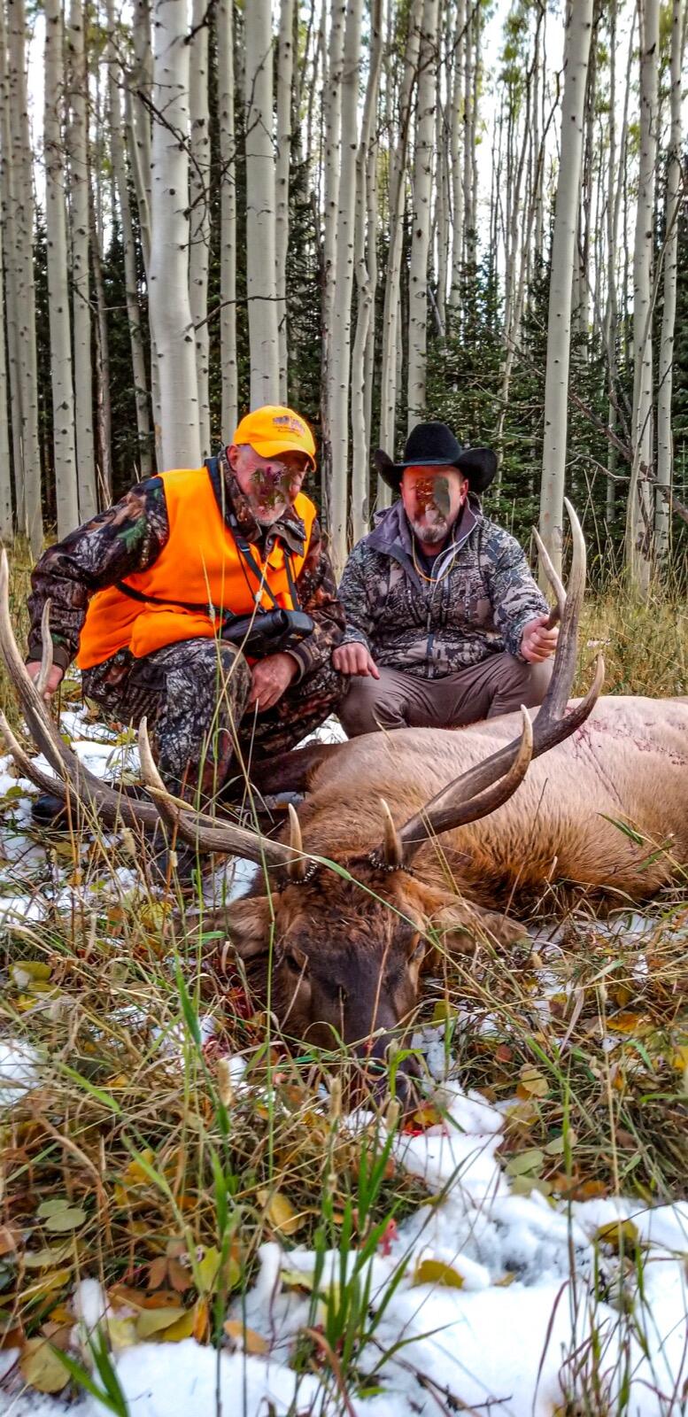 8325 County Rd M44 Placerville, CO 81430 - Photo 48 of 62 a backyard of a house with table and chairs