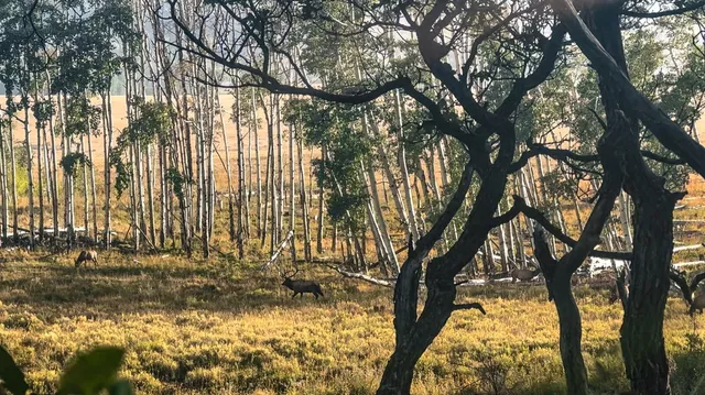 a view of a lake with an outdoor space