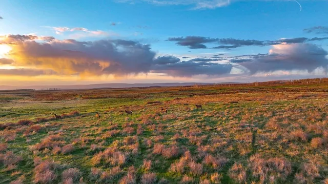 $8,200,000 | 8325 County Rd M44, Placerville, CO 81430