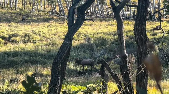 $8,200,000 | 8325 County Rd M44, Placerville, CO 81430