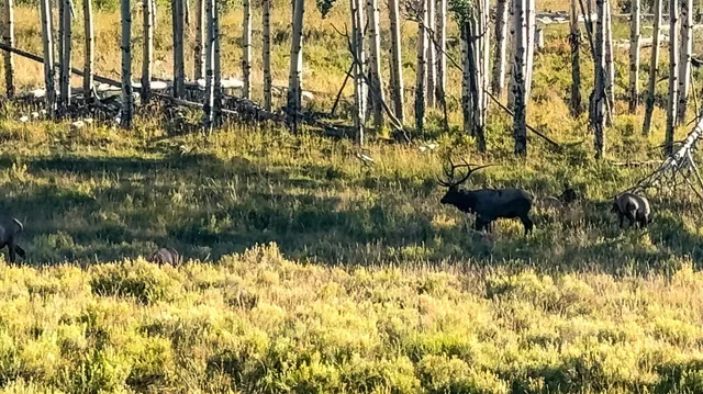 $8,200,000 | 8325 County Rd M44, Placerville, CO 81430