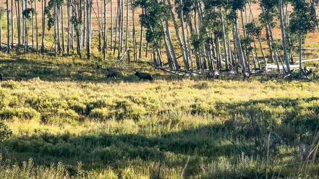 $8,200,000 | 8325 County Rd M44, Placerville, CO 81430