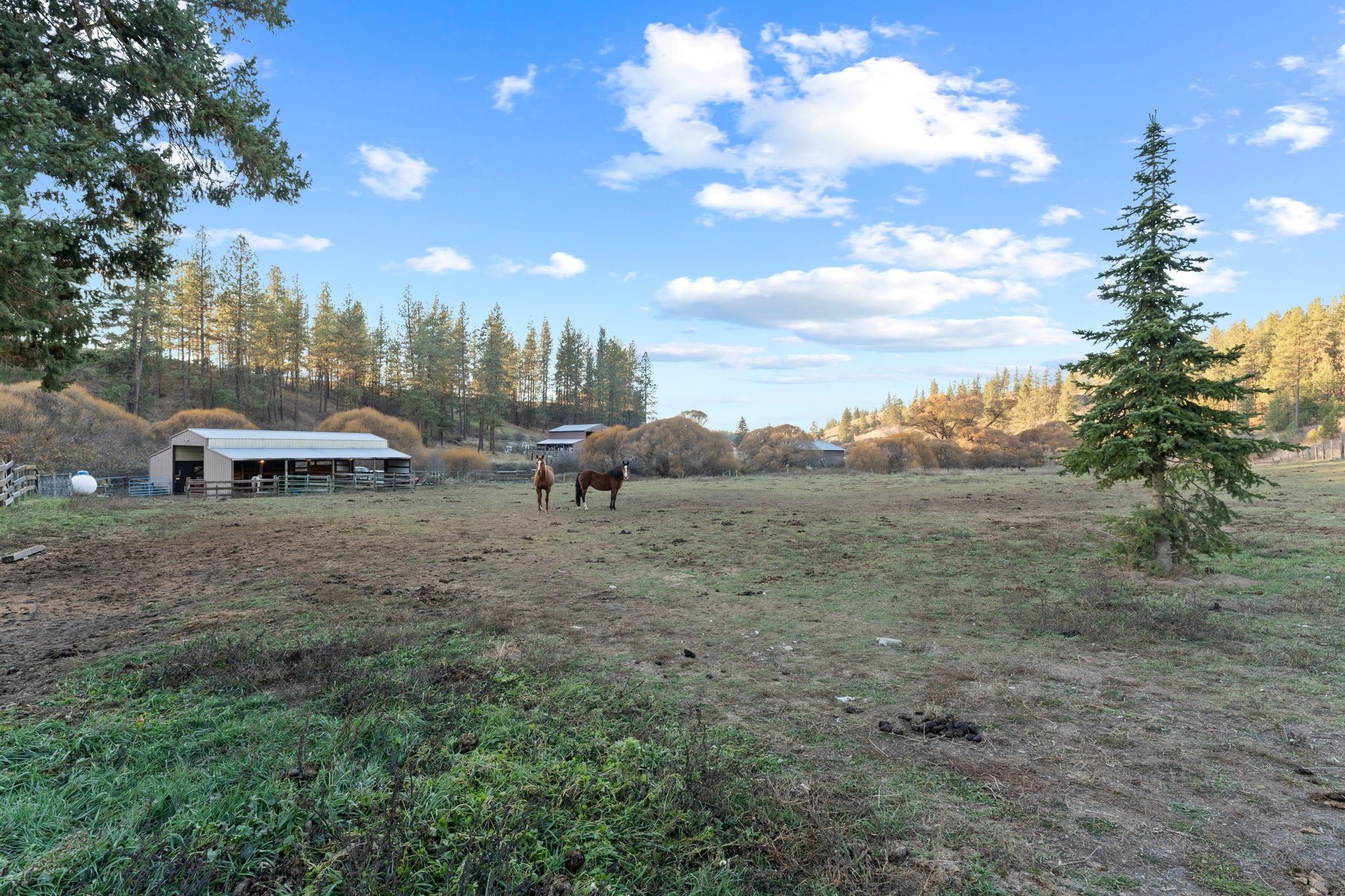 707 North Deep Creek Road Medical Lake, WA 99022 - Photo 31 of 45