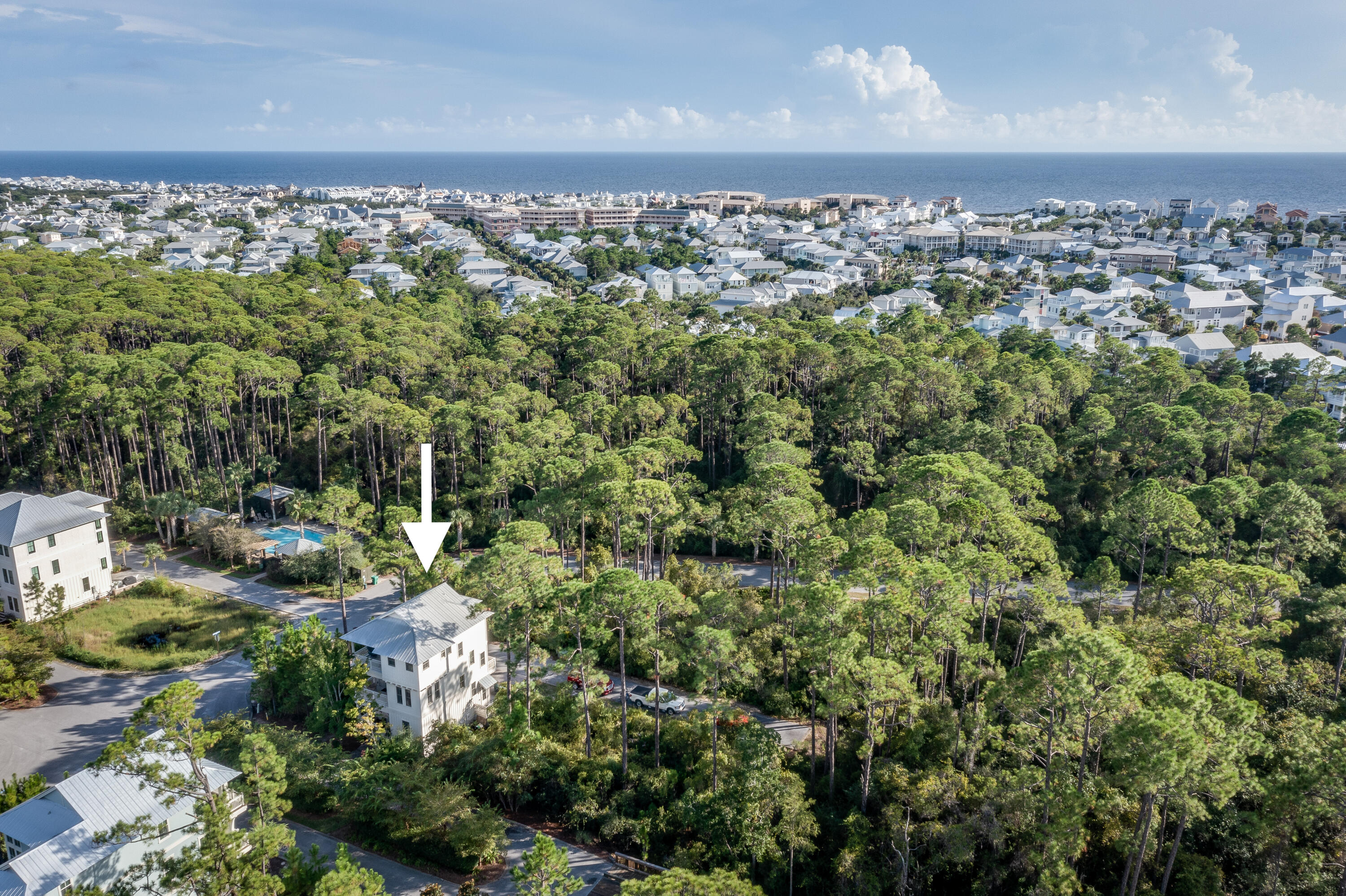 195 Redbud Lane Inlet Beach, FL 32461 - Photo 24 of 24 a view of outdoor space and garden
