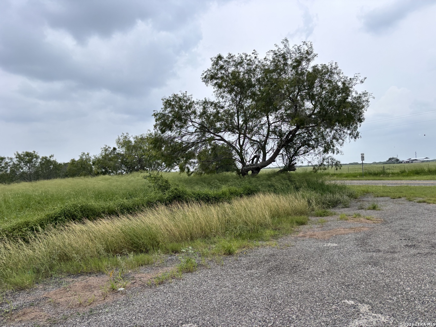 0 Farm To Market Rd 3249 Realitos, TX 78376 - Photo 12 of 14