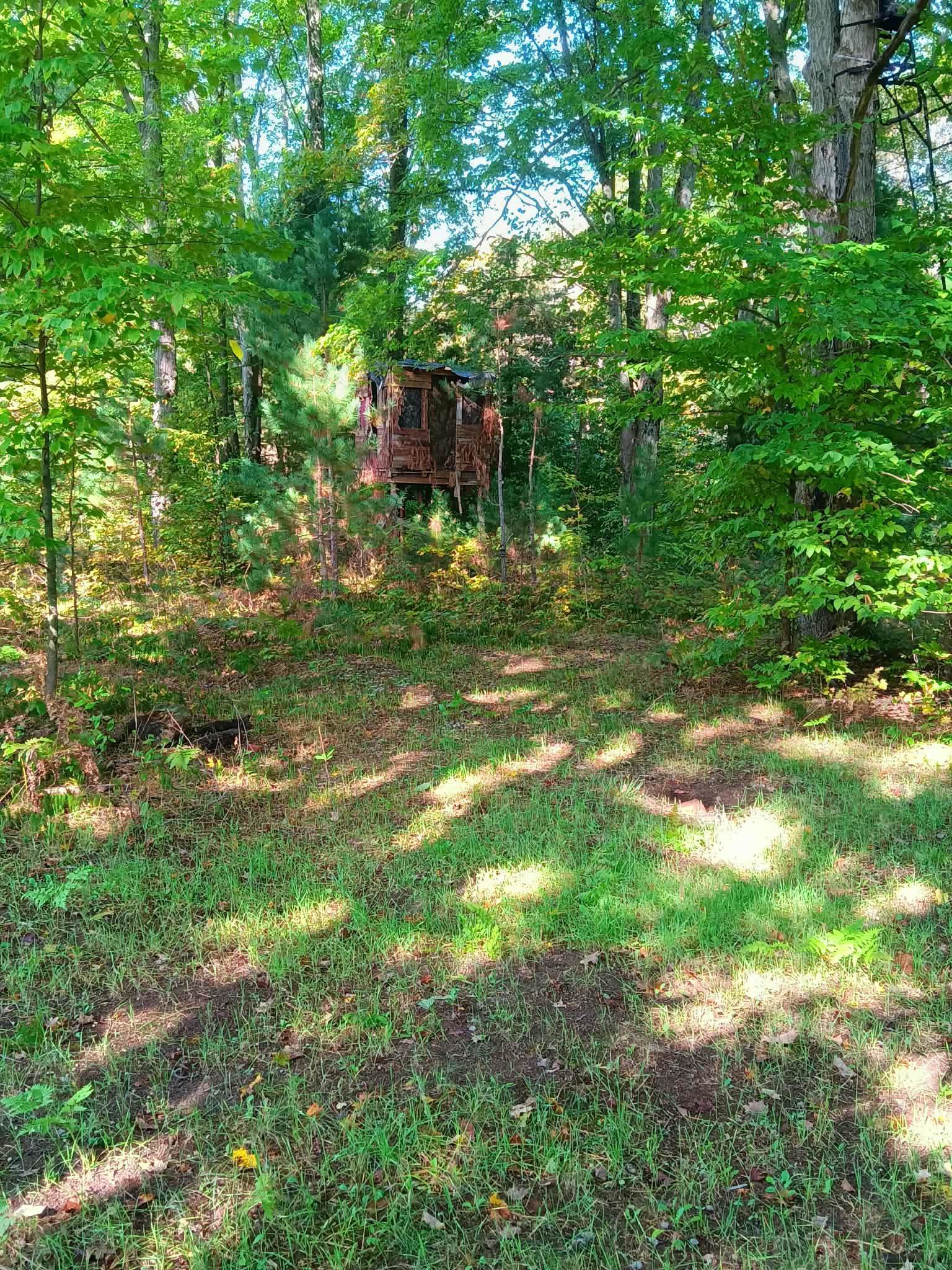13544 Aylsworth Road Beulah, MI 49617 - Photo 11 of 29