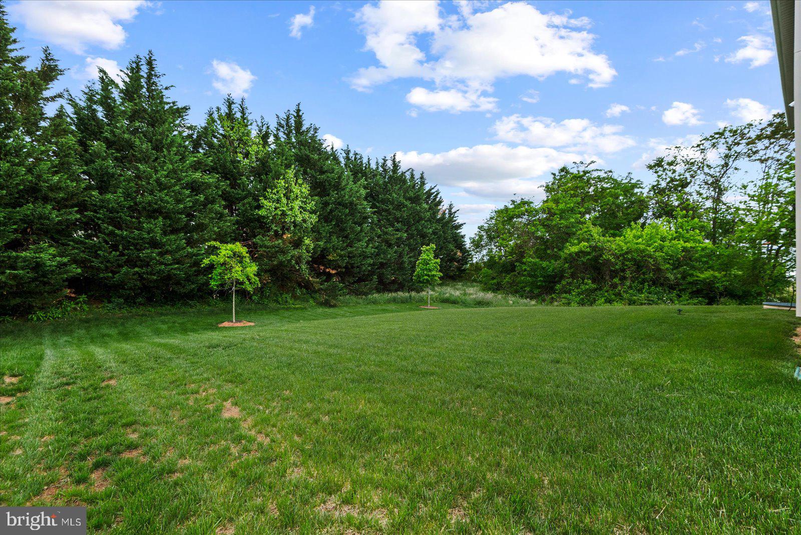 2633 High Point Drive Culpeper, VA 22701 - Photo 34 of 34 a view of yard with green space