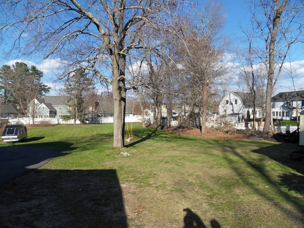 285 Thompson Road Webster, MA 01570 - Photo 19 of 20 a view of yard with tree