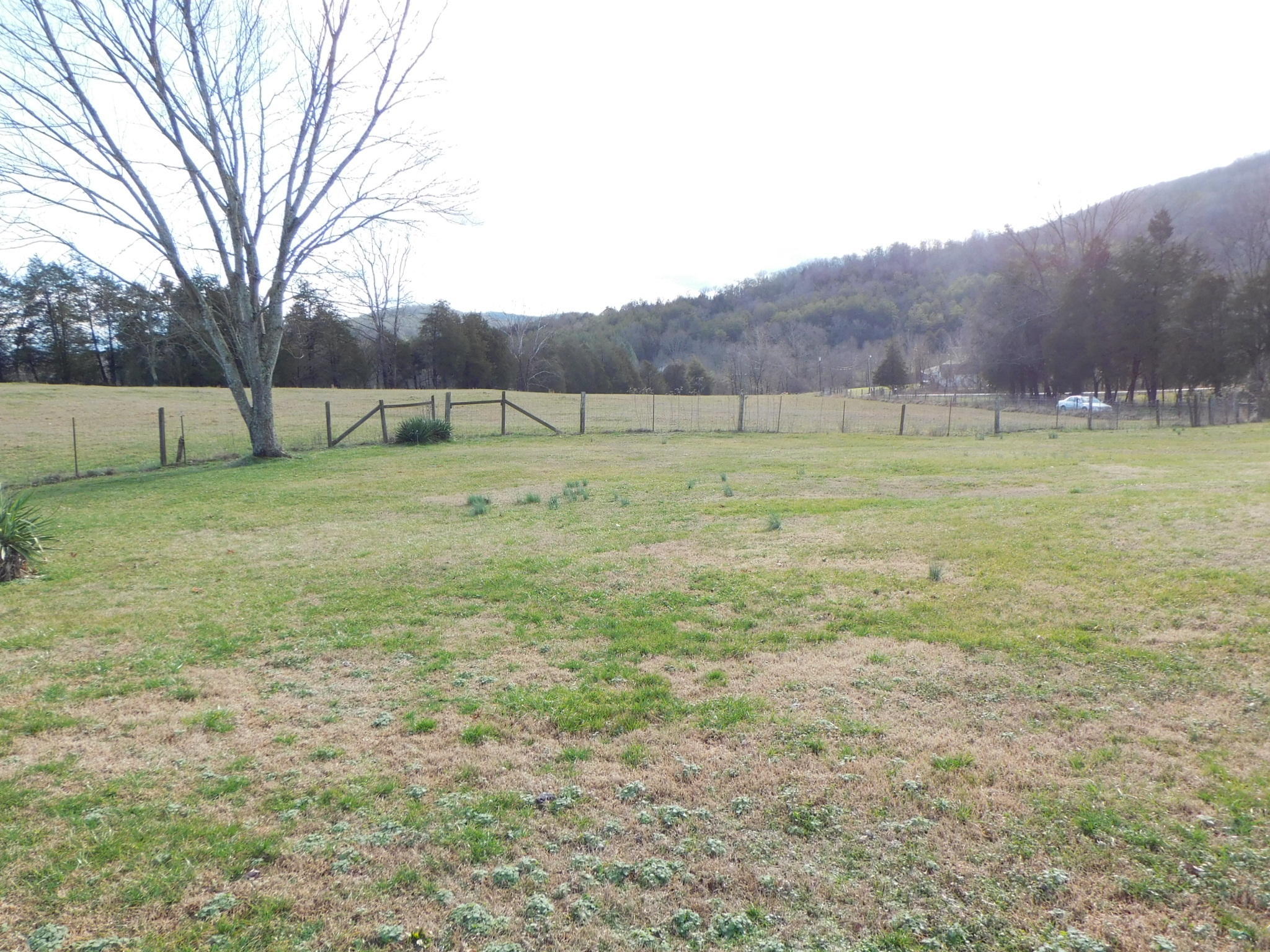 280 Gene Gray Road Monticello, KY 42633 - Photo 46 of 71 DSCI0397