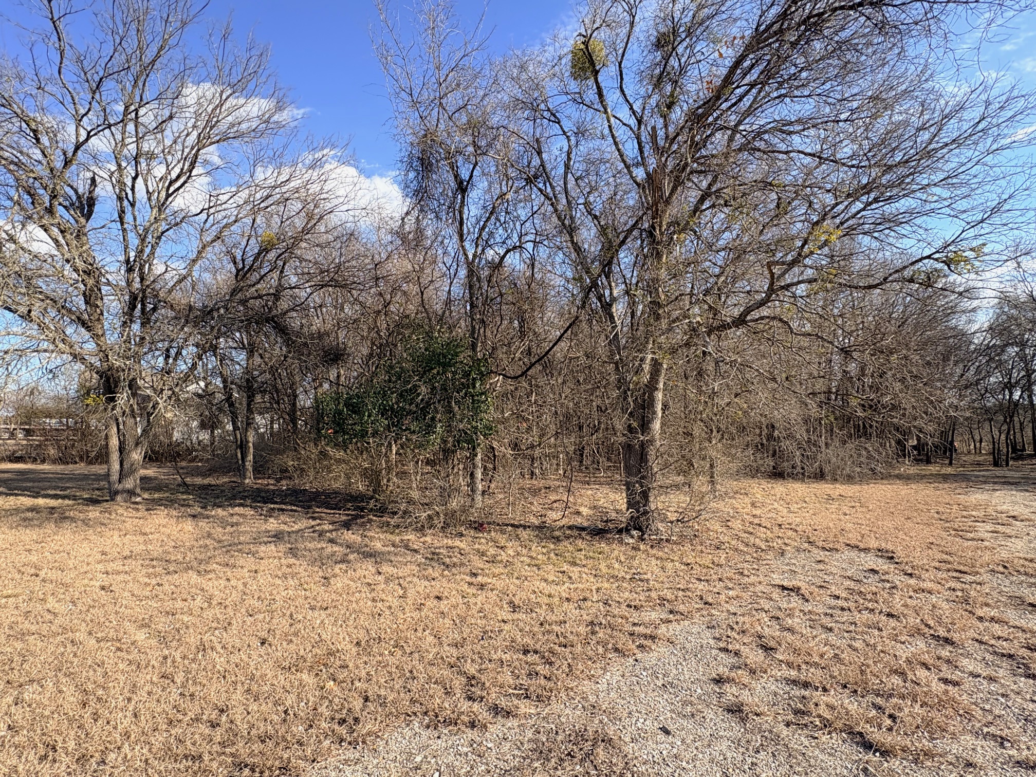 54 Ronald Road Georgetown, TX 78626 - Photo 3 of 7