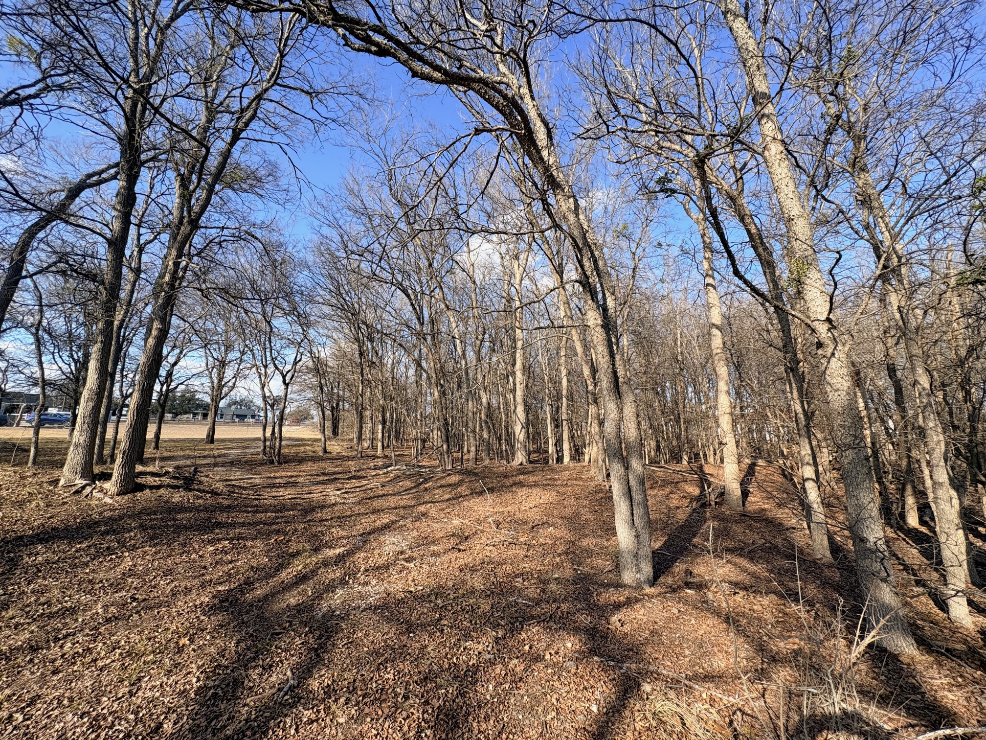 54 Ronald Road Georgetown, TX 78626 - Photo 5 of 7
