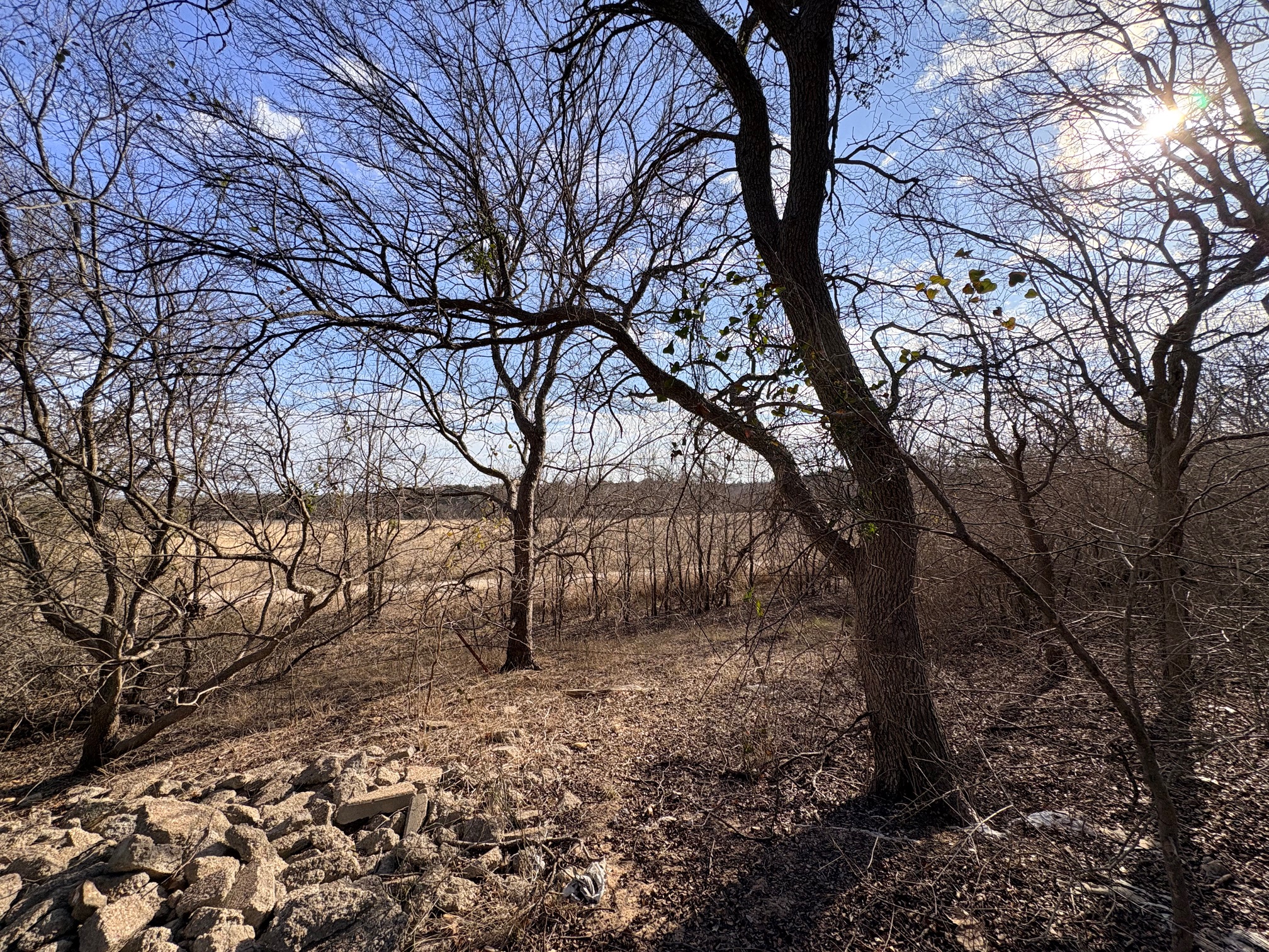 54 Ronald Road Georgetown, TX 78626 - Photo 6 of 7 View of undeveloped land