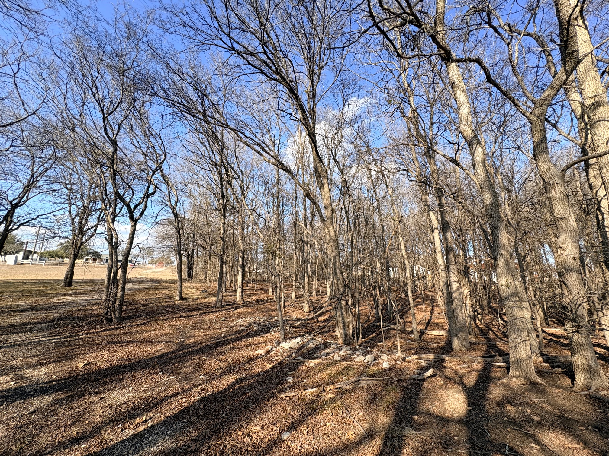 54 Ronald Road Georgetown, TX 78626 - Photo 7 of 7