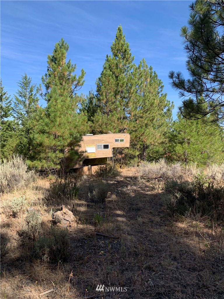 1-nna Melvin Road Waterville, WA 98858 - Photo 11 of 26 Gallery Image 11