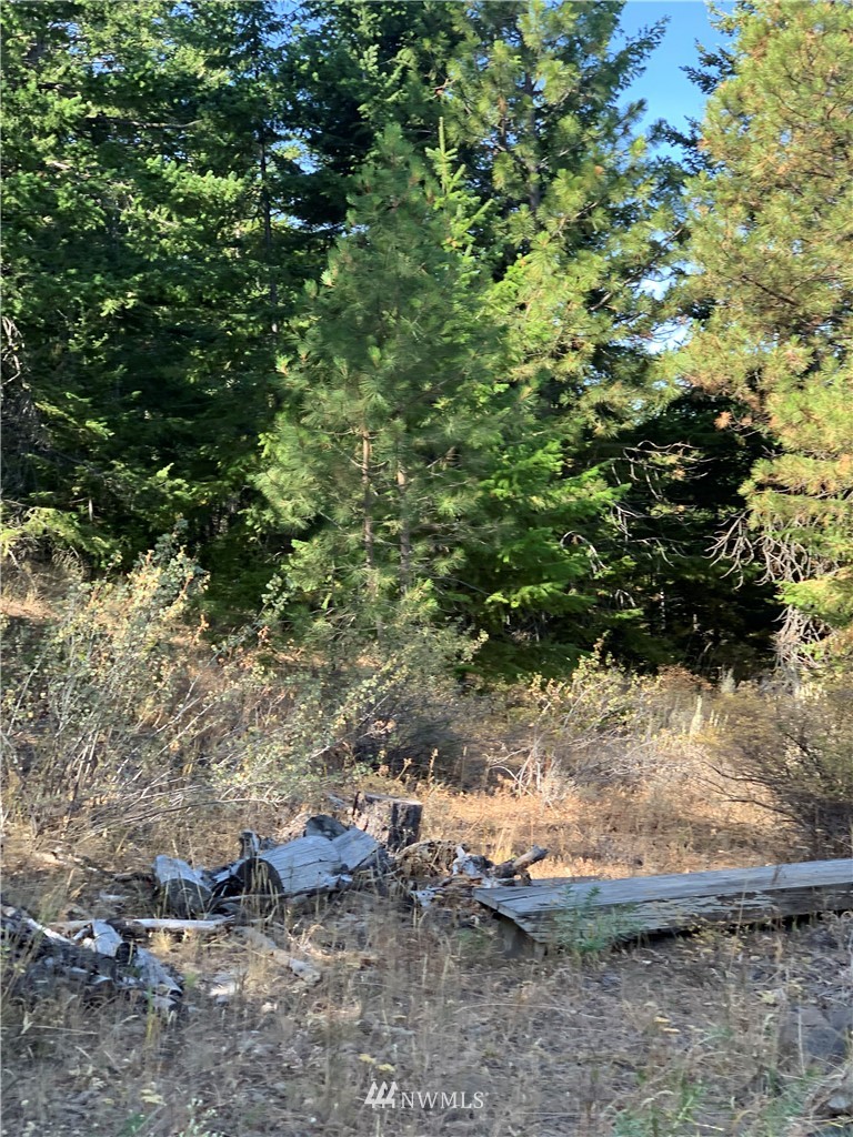 1-nna Melvin Road Waterville, WA 98858 - Photo 12 of 26 Gallery Image 12