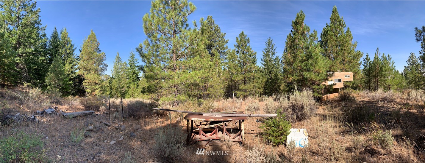 1-nna Melvin Road Waterville, WA 98858 - Photo 13 of 26 Gallery Image 13