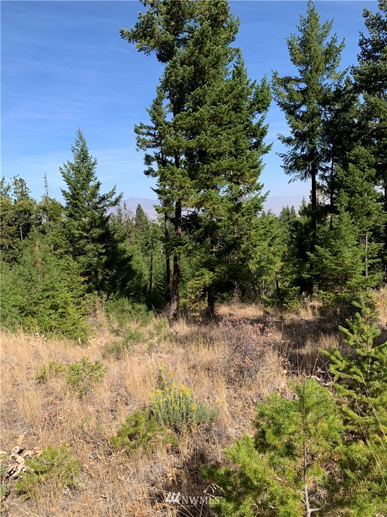 1-nna Melvin Road Waterville, WA 98858 - Photo 15 of 26 Gallery Image 15