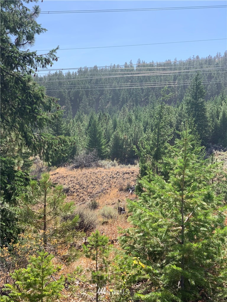 1-nna Melvin Road Waterville, WA 98858 - Photo 17 of 26 Gallery Image 17