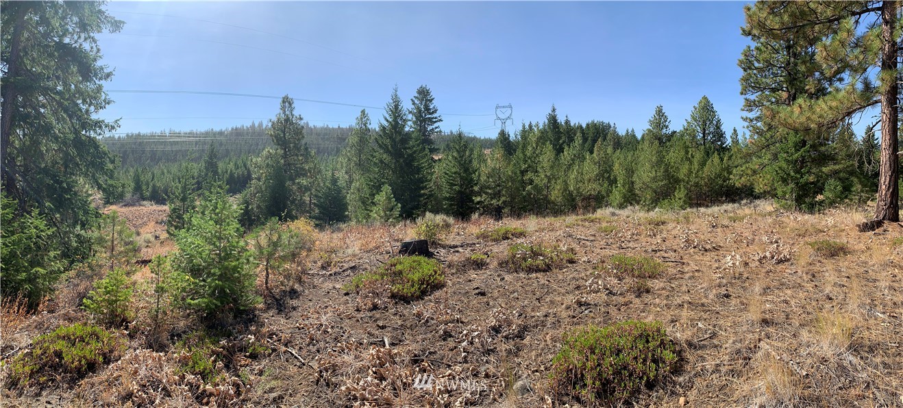 1-nna Melvin Road Waterville, WA 98858 - Photo 18 of 26 Gallery Image 18