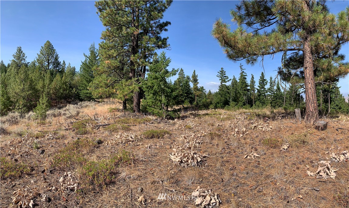 1-nna Melvin Road Waterville, WA 98858 - Photo 19 of 26 Gallery Image 19