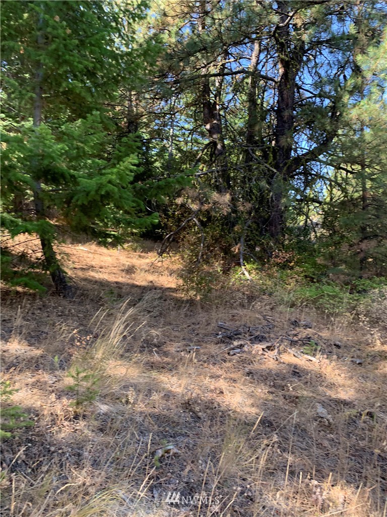 1-nna Melvin Road Waterville, WA 98858 - Photo 21 of 26 Gallery Image 21