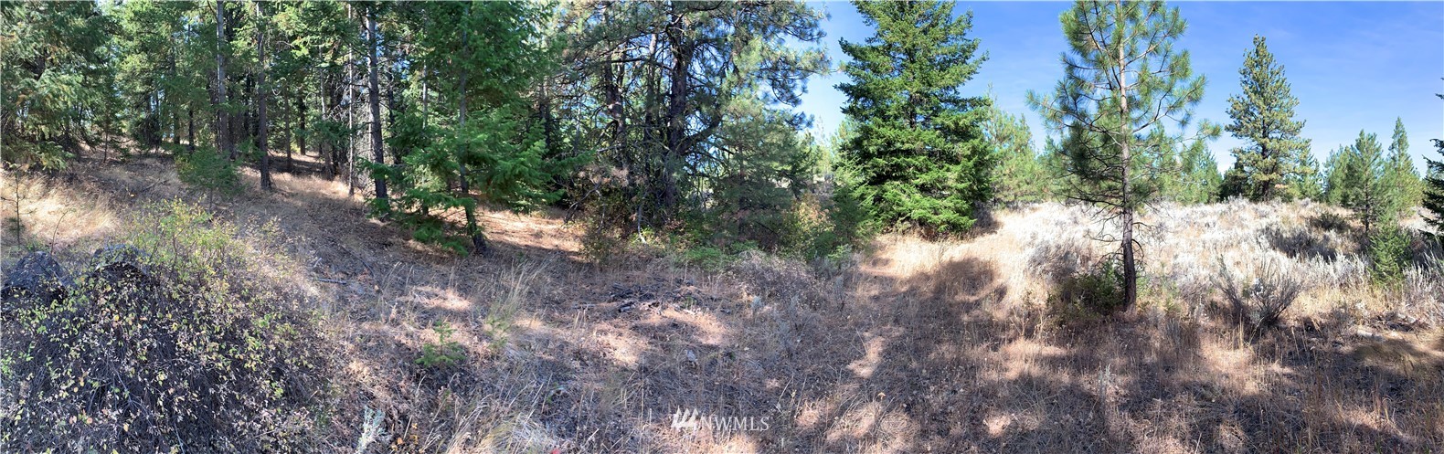 1-nna Melvin Road Waterville, WA 98858 - Photo 23 of 26 Gallery Image 23