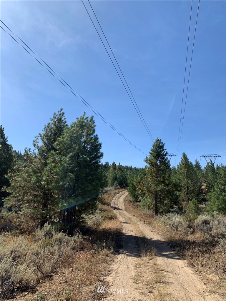 1-nna Melvin Road Waterville, WA 98858 - Photo 24 of 26 Gallery Image 24