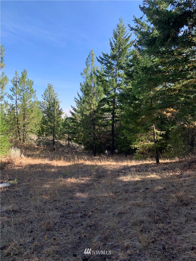 1-nna Melvin Road Waterville, WA 98858 - Photo 10 of 26 Gallery Image 10