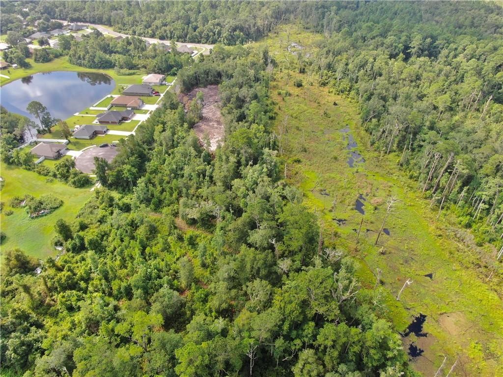 0 Villa Lane Yulee, FL 32097 - Photo 11 of 11 a view of a yard with plants and large trees