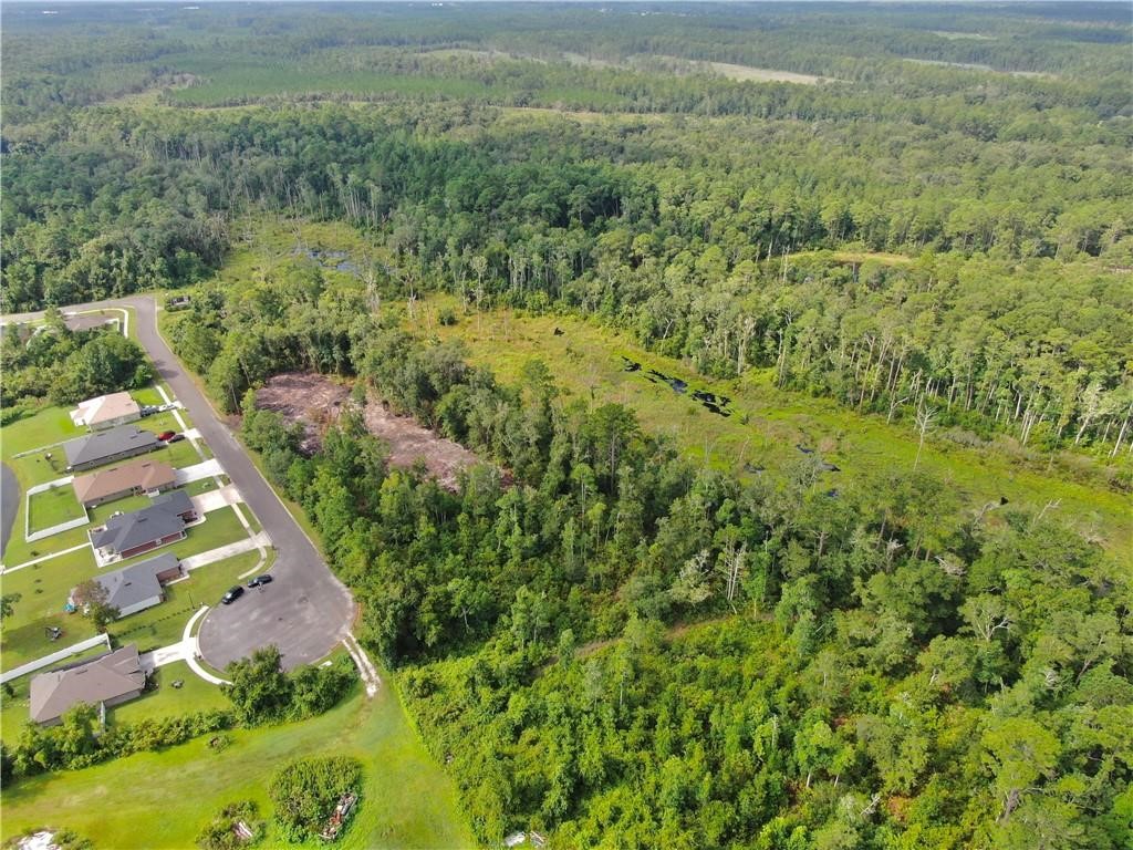 0 Villa Lane Yulee, FL 32097 - Photo 2 of 11 a view of a yard with plants