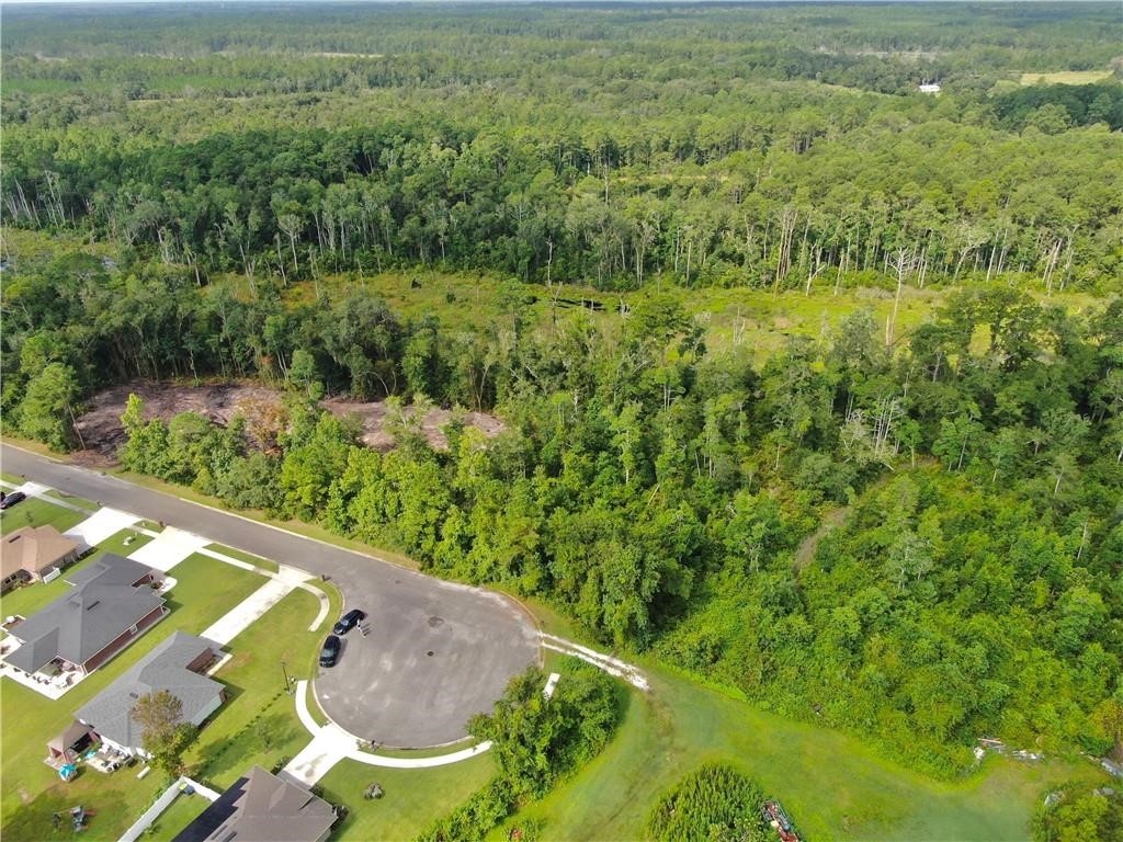 0 Villa Lane Yulee, FL 32097 - Photo 3 of 11 a view of an outdoor space and a yard