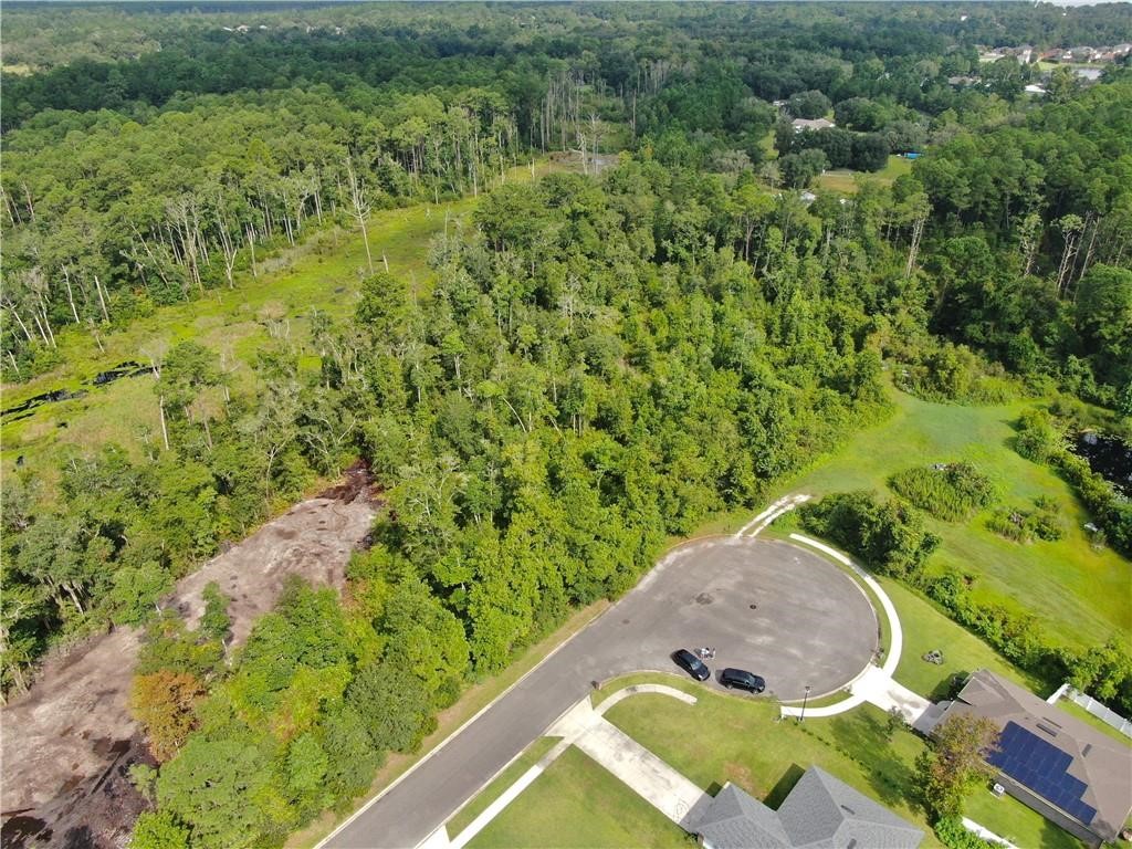 0 Villa Lane Yulee, FL 32097 - Photo 4 of 11 a view of a yard with a house