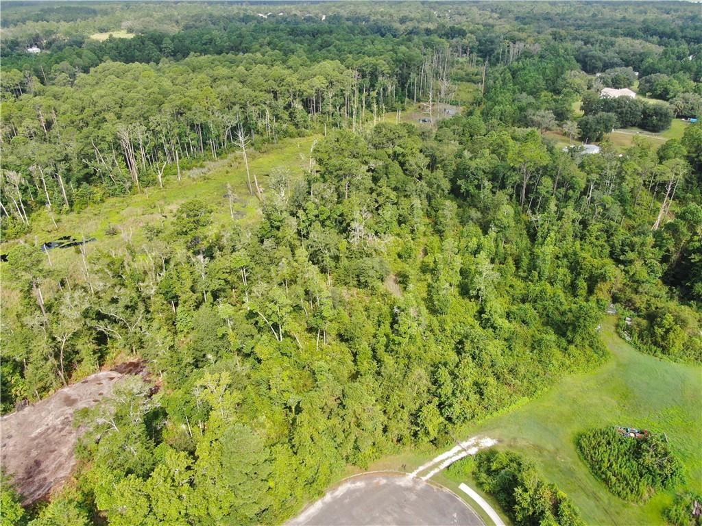 0 Villa Lane Yulee, FL 32097 - Photo 7 of 11 a view of a garden with a lake