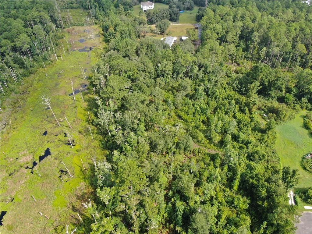 0 Villa Lane Yulee, FL 32097 - Photo 8 of 11 a view of a big yard with plants and large tree