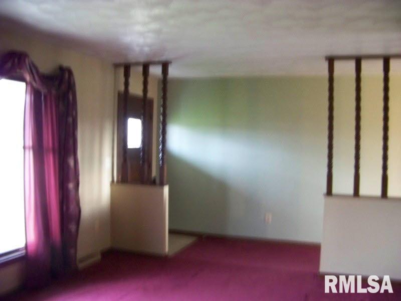 3290 Red Stripe Road Salem, IL 62881 - Photo 3 of 10