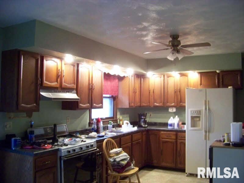 3290 Red Stripe Road Salem, IL 62881 - Photo 4 of 10
