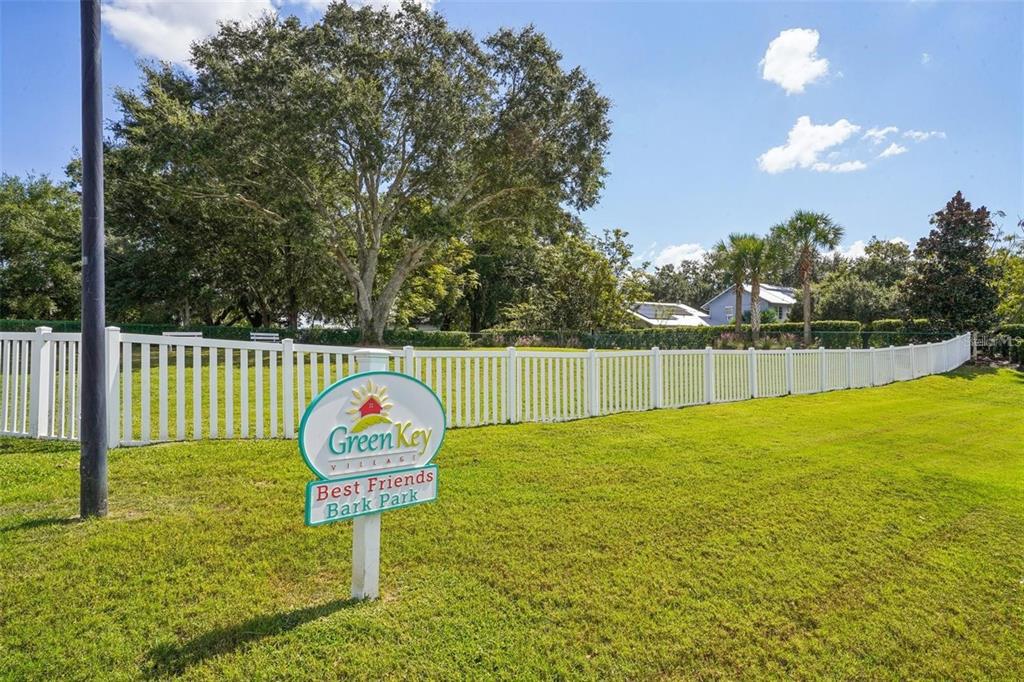 357 Conch Key Lane Lady Lake, FL 32159 - Photo 44 of 48