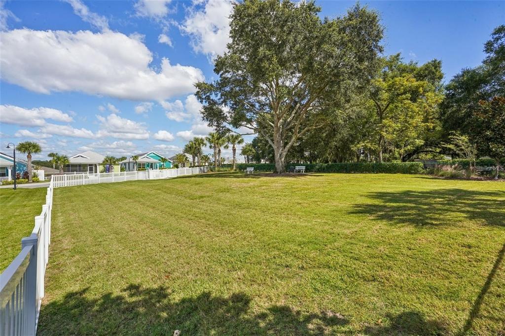 357 Conch Key Lane Lady Lake, FL 32159 - Photo 45 of 48