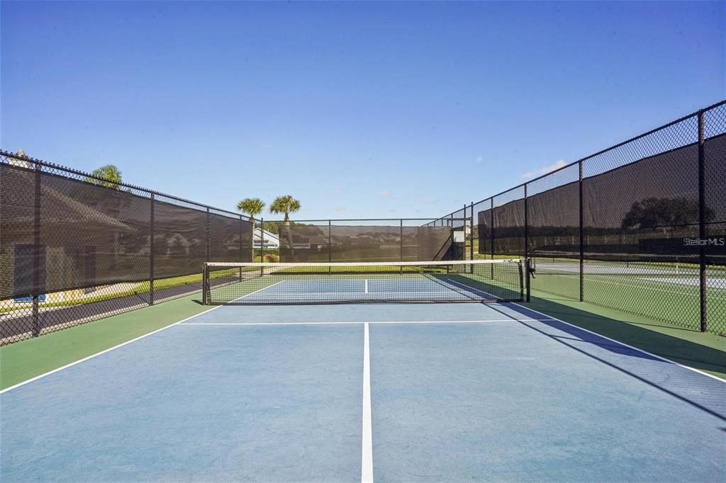 357 Conch Key Lane Lady Lake, FL 32159 - Photo 48 of 48