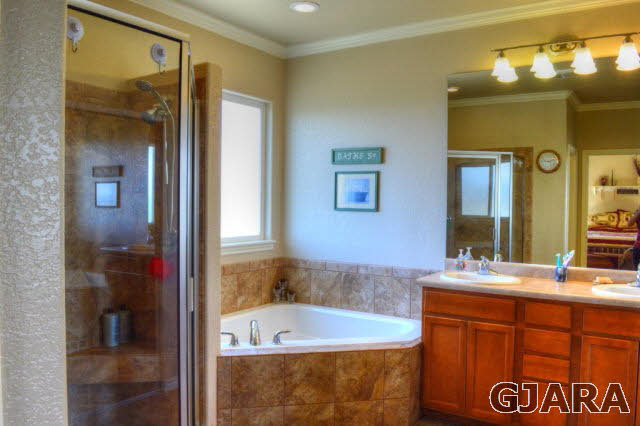 1575 15 Road Loma, CO 81524 - Photo 12 of 30 a bathroom with a tub a sink and a mirror