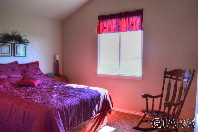 1575 15 Road Loma, CO 81524 - Photo 19 of 30 a bed sitting in a bedroom next to a window