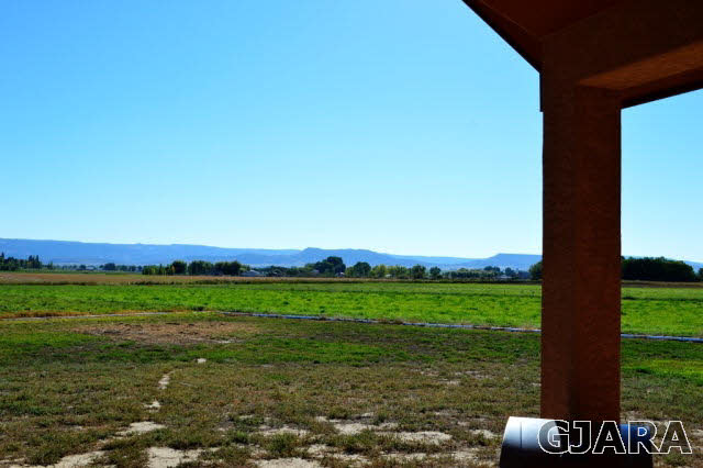 1575 15 Road Loma, CO 81524 - Photo 28 of 30 a view of a grassy area with an trees