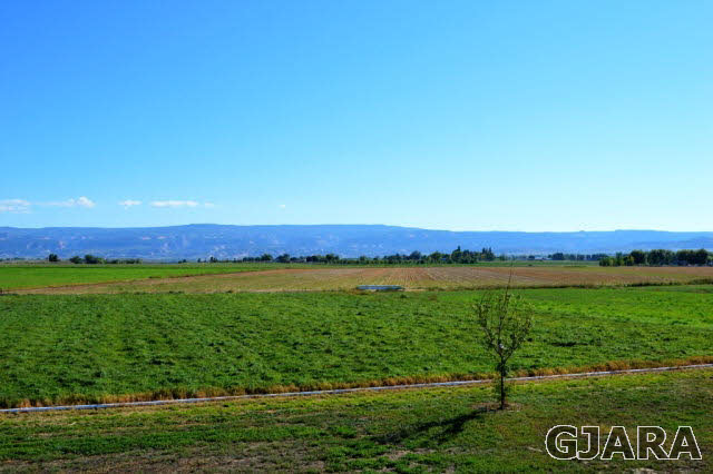 1575 15 Road Loma, CO 81524 - Photo 29 of 30 a view of a lake and a yard