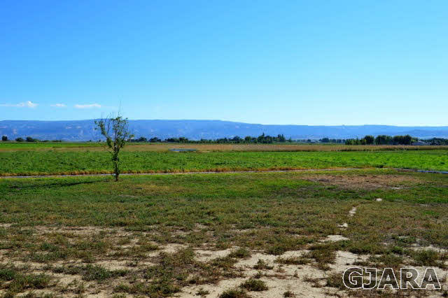 1575 15 Road Loma, CO 81524 - Photo 30 of 30 a view of a golf course with a big yard