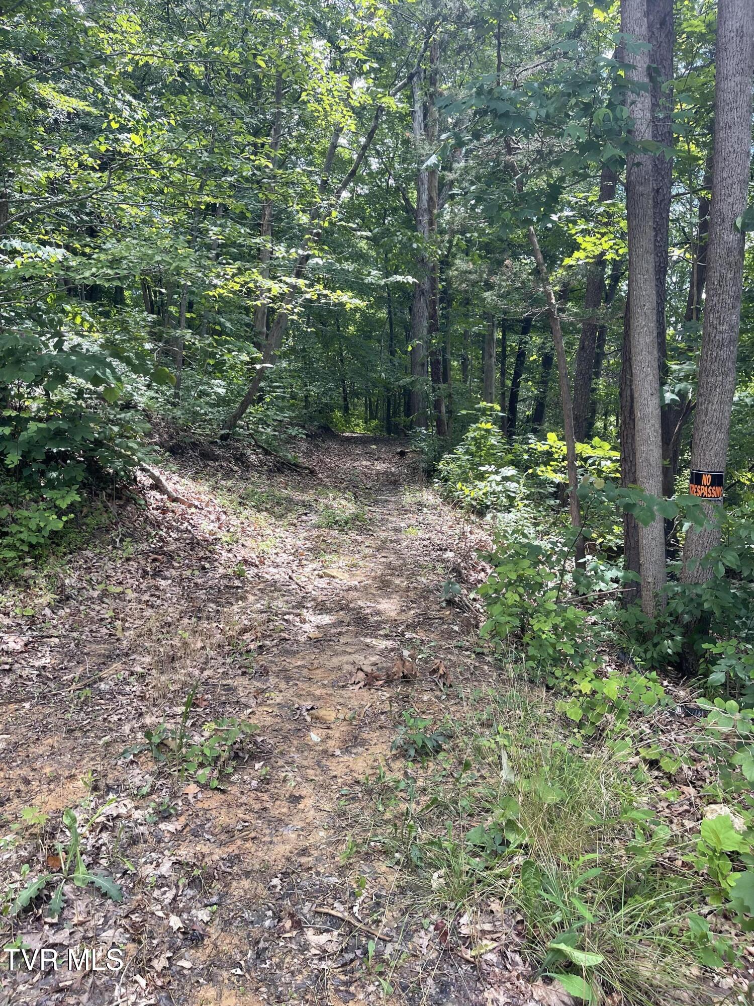 Tbd Johnson Hollow Road Bristol, TN 37620 - Photo 6 of 17 IMG_5100