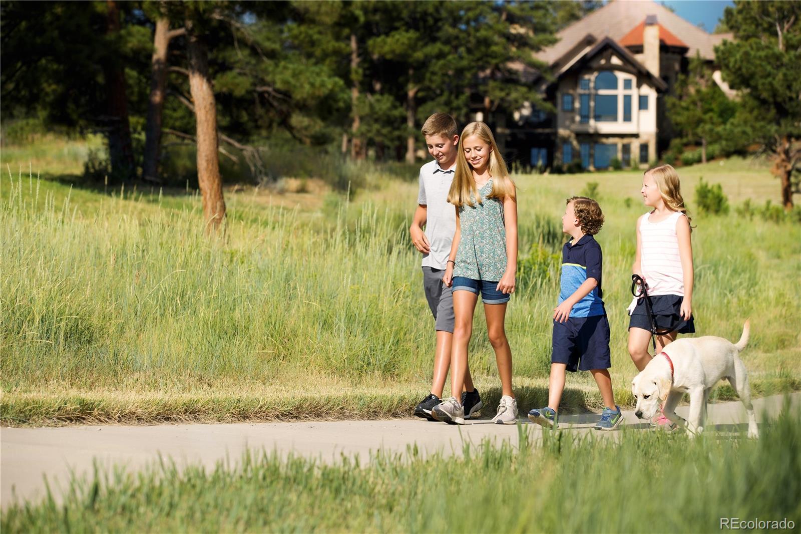 7921 Forest Keep Circle Parker, CO 80134 - Photo 17 of 36 a backyard of a house with a yard and potted plants
